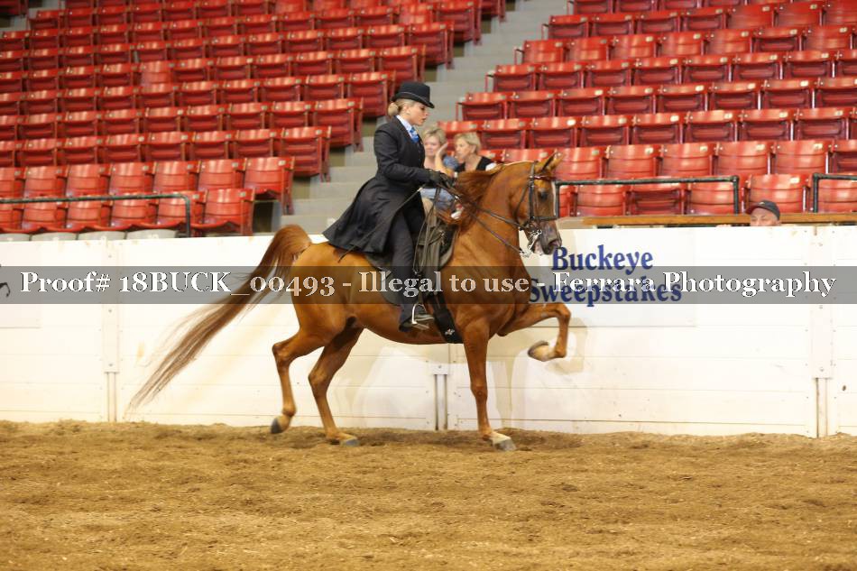 Proof 18BUCK_00493