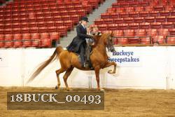 18BUCK_00493 proof