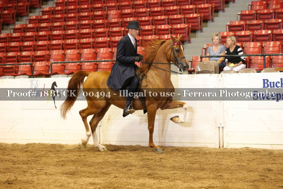 Proof 18BUCK_00494