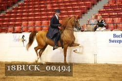 18BUCK_00494 proof