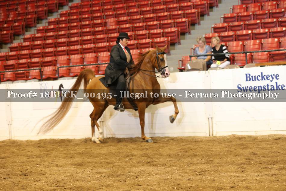 Proof 18BUCK_00495