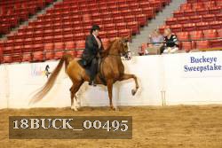 18BUCK_00495 proof