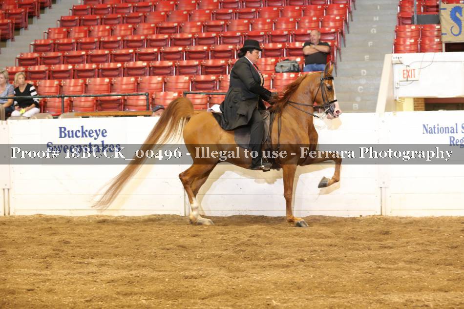 Proof 18BUCK_00496