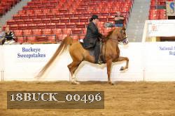 18BUCK_00496 proof