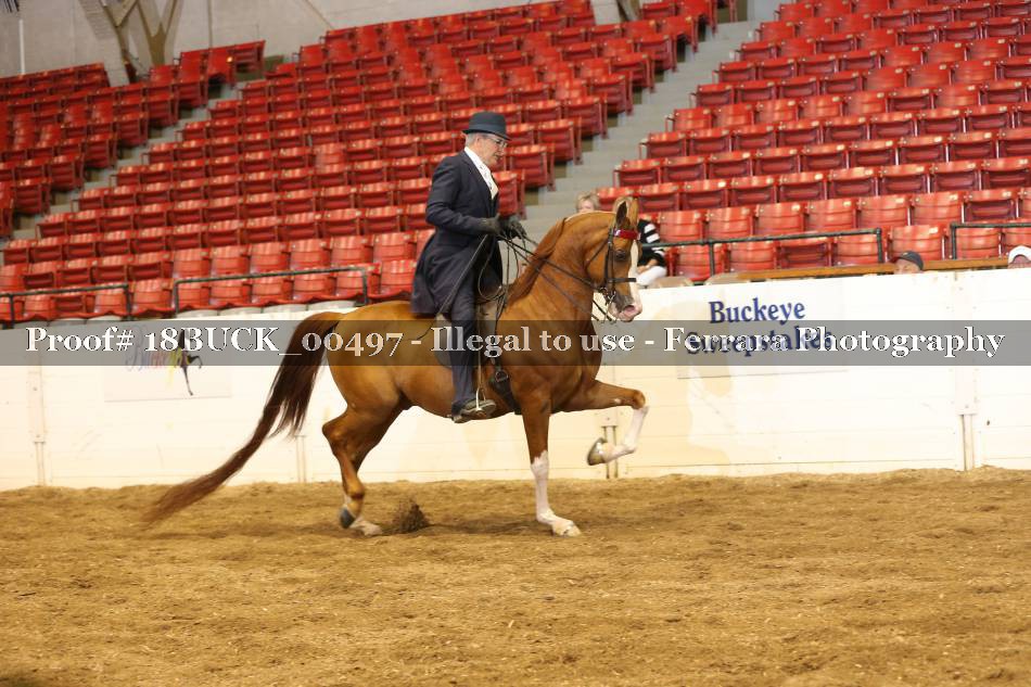 Proof 18BUCK_00497