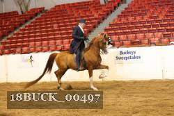 18BUCK_00497 proof