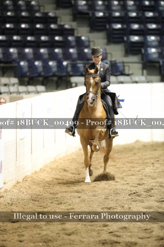 Proof 18BUCK_00499