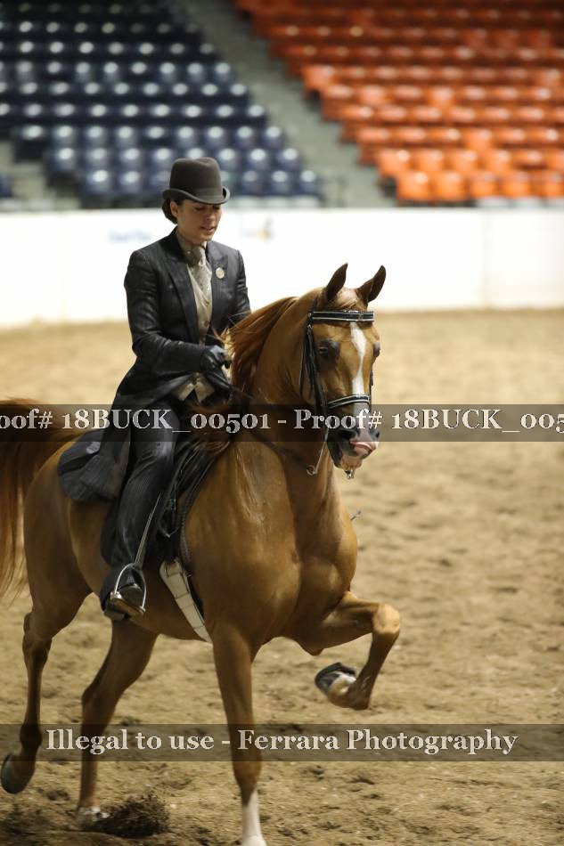 Proof 18BUCK_00501