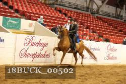 18BUCK_00502 proof