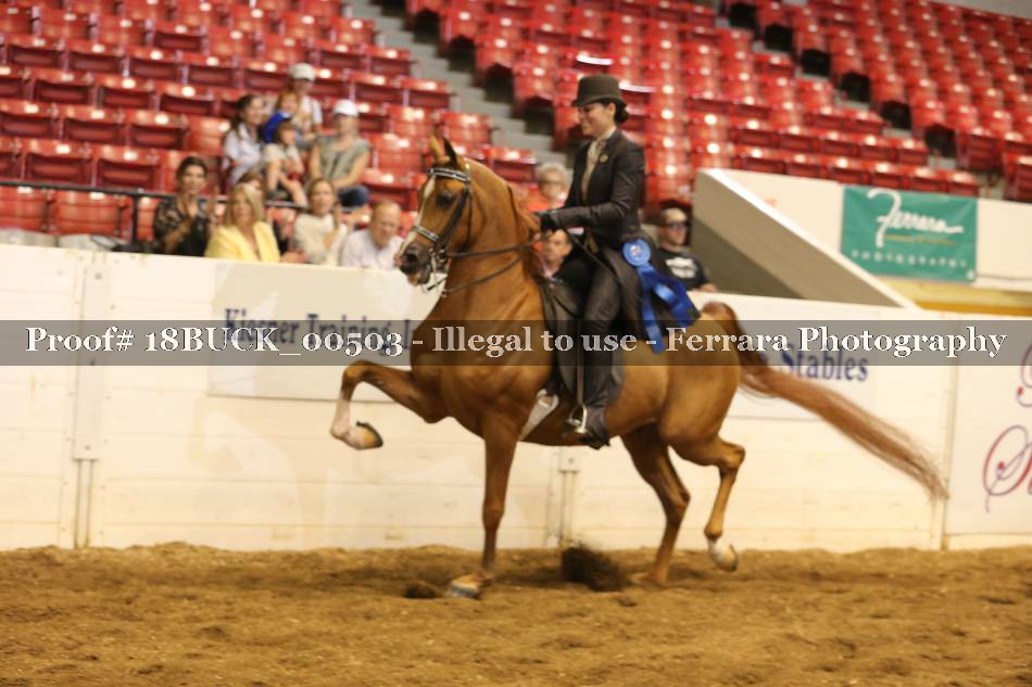Proof 18BUCK_00503