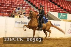 18BUCK_00503 proof