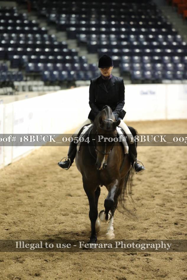 Proof 18BUCK_00504