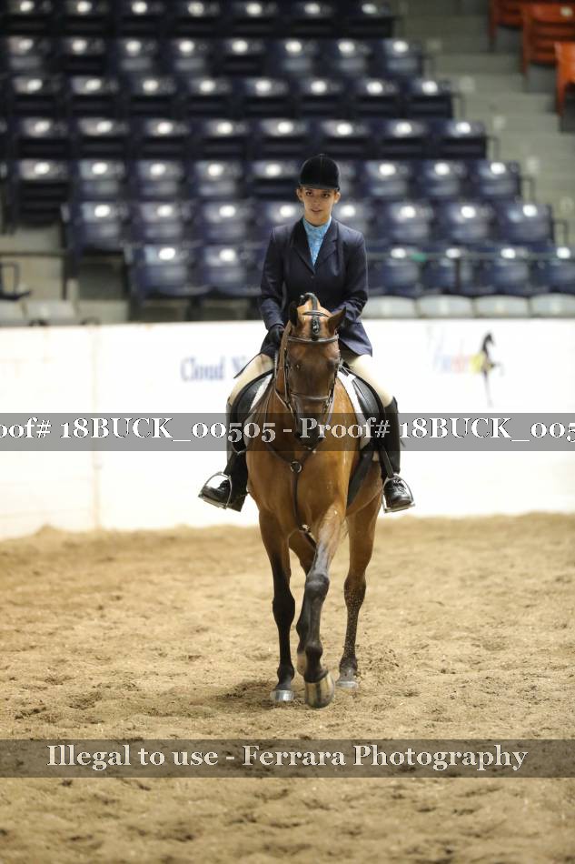 Proof 18BUCK_00505