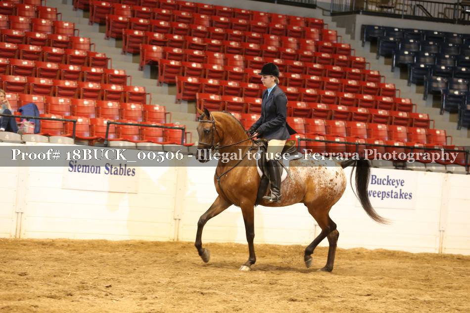 Proof 18BUCK_00506