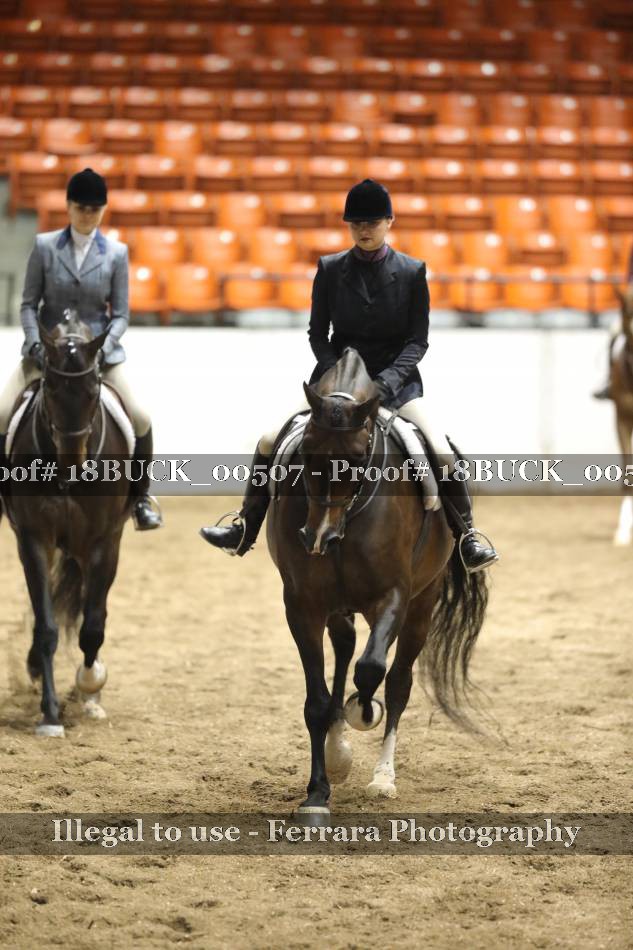 Proof 18BUCK_00507