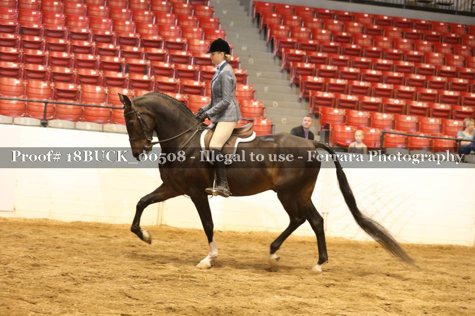 Proof 18BUCK_00508