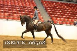 18BUCK_00508 proof