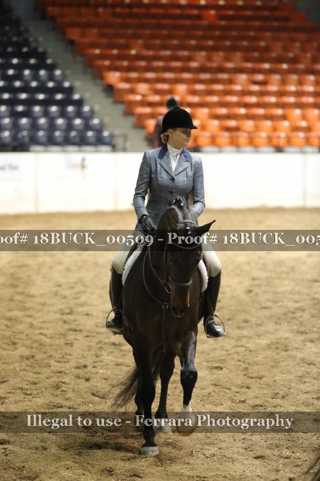 Proof 18BUCK_00509