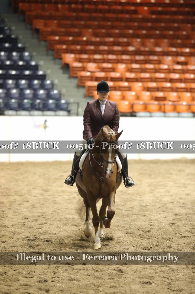 Proof 18BUCK_00510