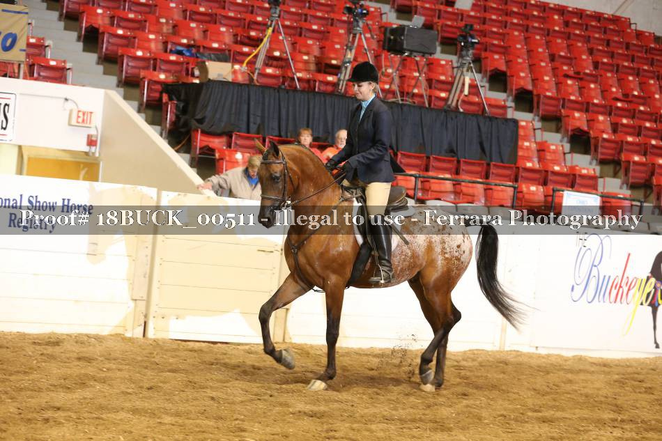 Proof 18BUCK_00511