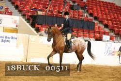 18BUCK_00511 proof