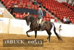 18BUCK_00513 proof