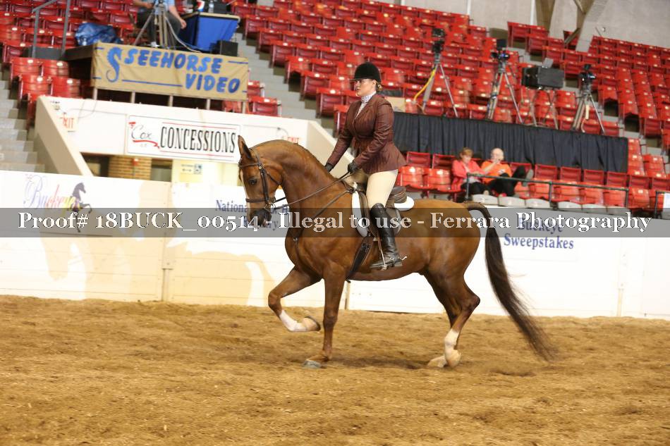Proof 18BUCK_00514