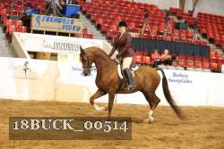 18BUCK_00514 proof