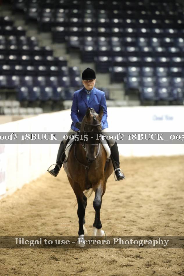 Proof 18BUCK_00515
