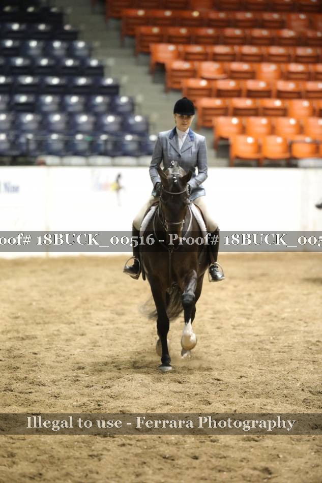 Proof 18BUCK_00516