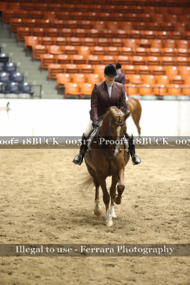 Proof 18BUCK_00517