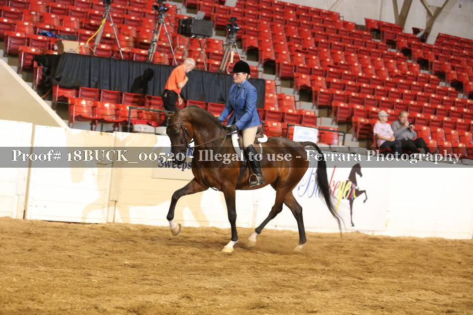Proof 18BUCK_00520