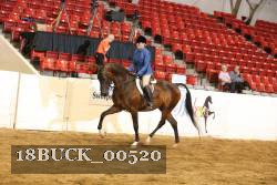 18BUCK_00520 proof
