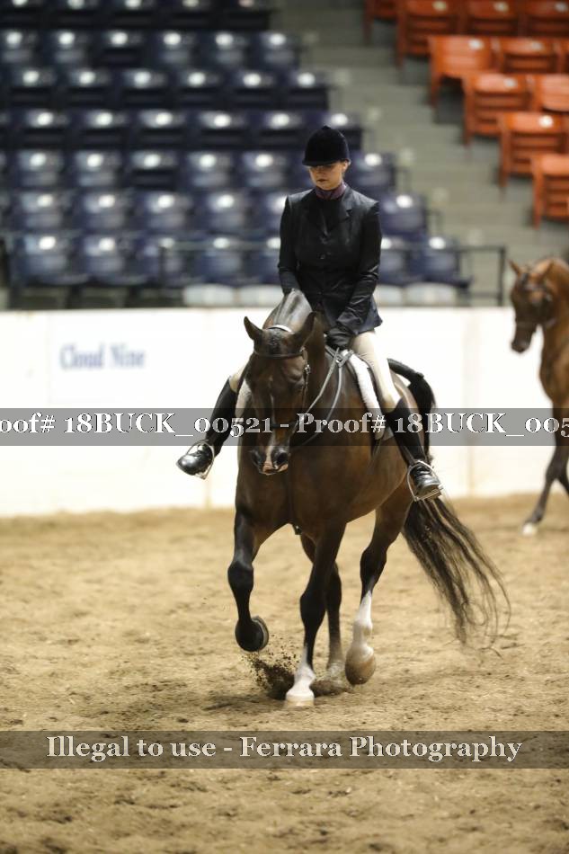 Proof 18BUCK_00521
