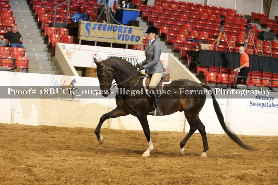 Proof 18BUCK_00522