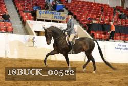 18BUCK_00522 proof