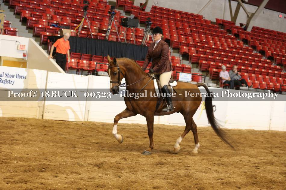 Proof 18BUCK_00523