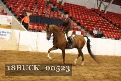 18BUCK_00523 proof