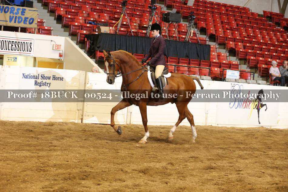Proof 18BUCK_00524