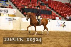 18BUCK_00524 proof
