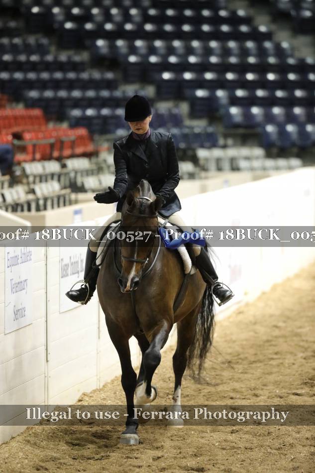 Proof 18BUCK_00527