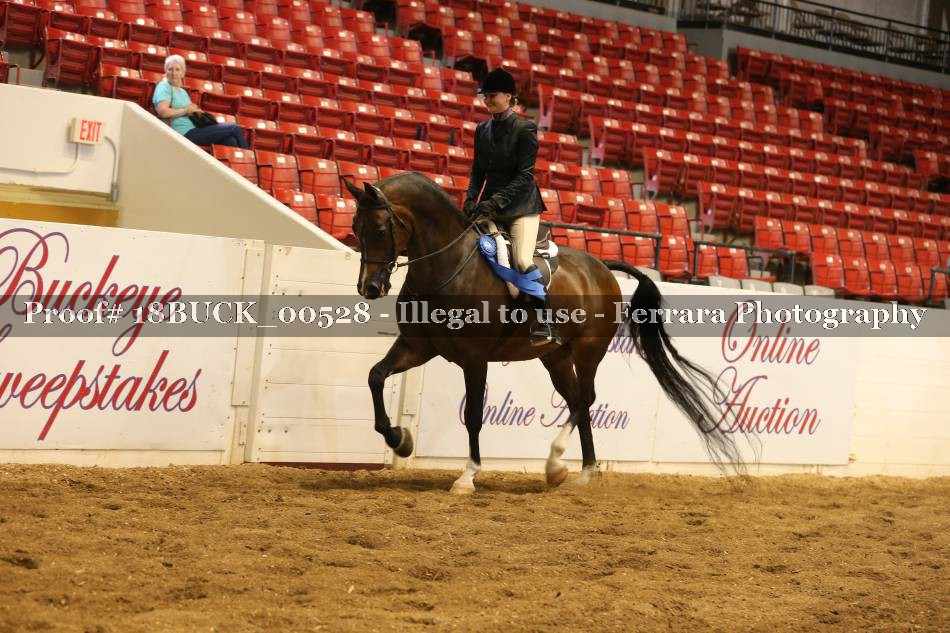 Proof 18BUCK_00528