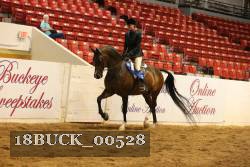 18BUCK_00528 proof