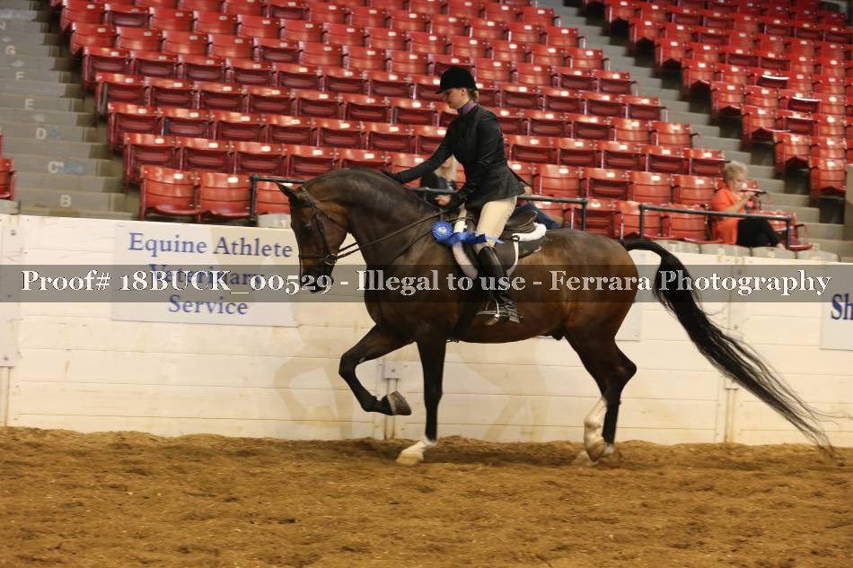 Proof 18BUCK_00529