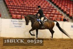 18BUCK_00529 proof