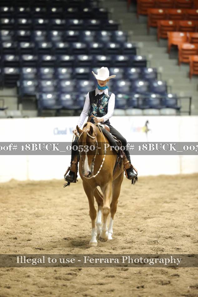 Proof 18BUCK_00530