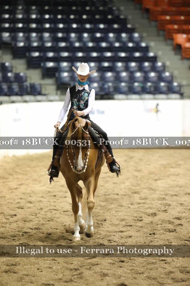 Proof 18BUCK_00531