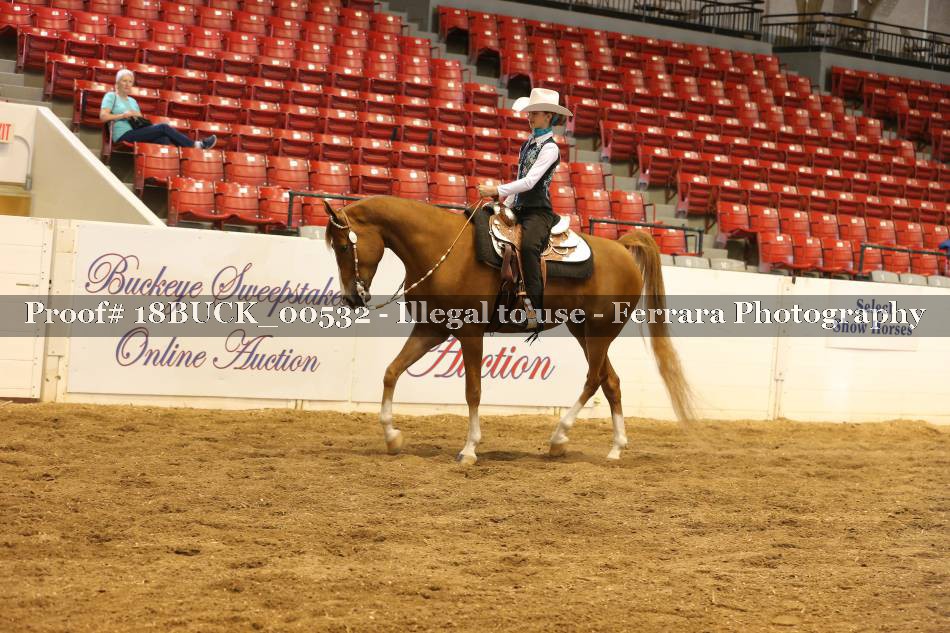 Proof 18BUCK_00532