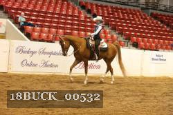 18BUCK_00532 proof