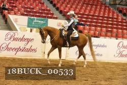 18BUCK_00533 proof